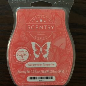 🔹BUNDLE 2 for $11🔹NEW watermelon scentsy bar